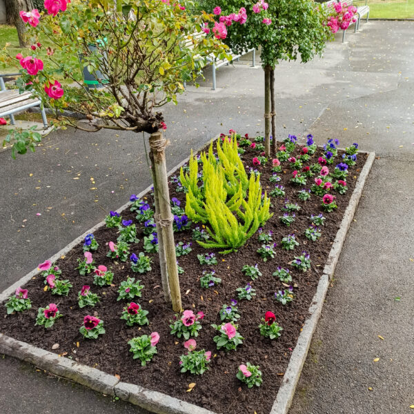 IMG_20211007_101900-2