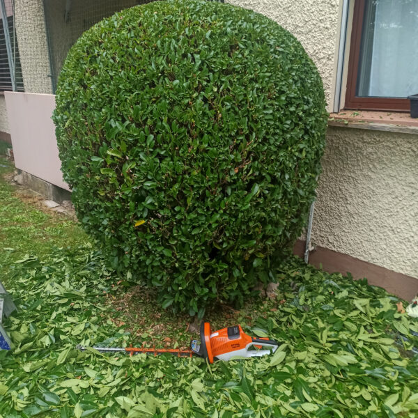 IMG_20220906_135827-2