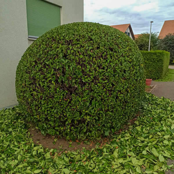 IMG_20220907_150143-2