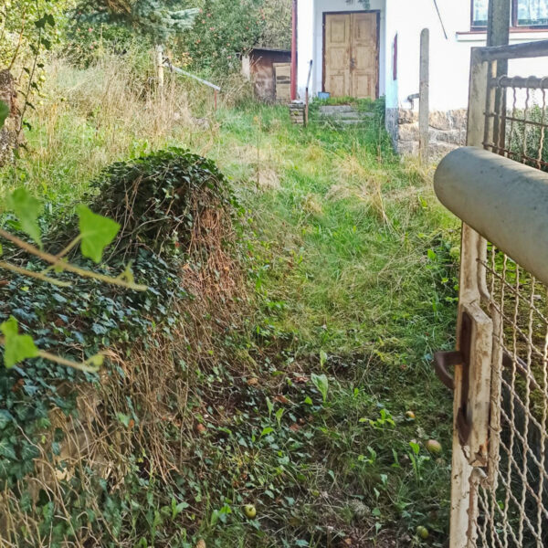 IMG-20230913-WA0000-2