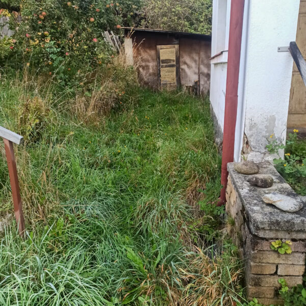 IMG-20230913-WA0008-2